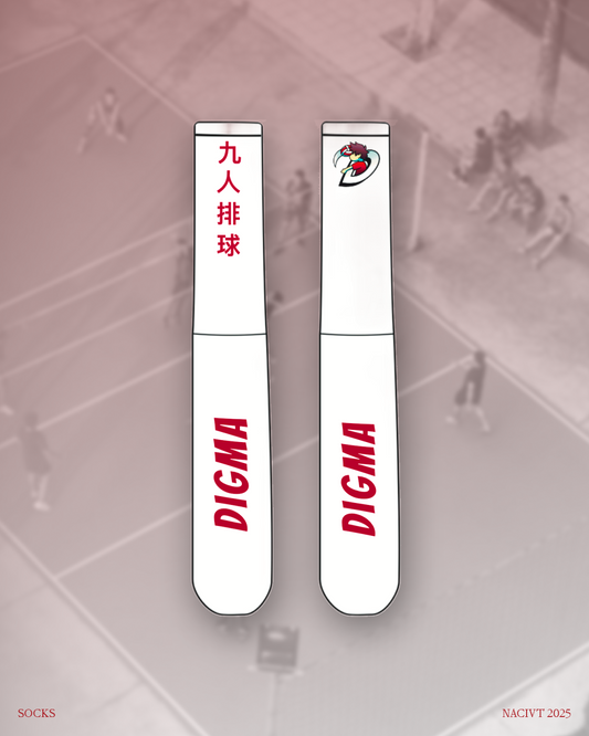 Digma 9-man Performance Crew Socks