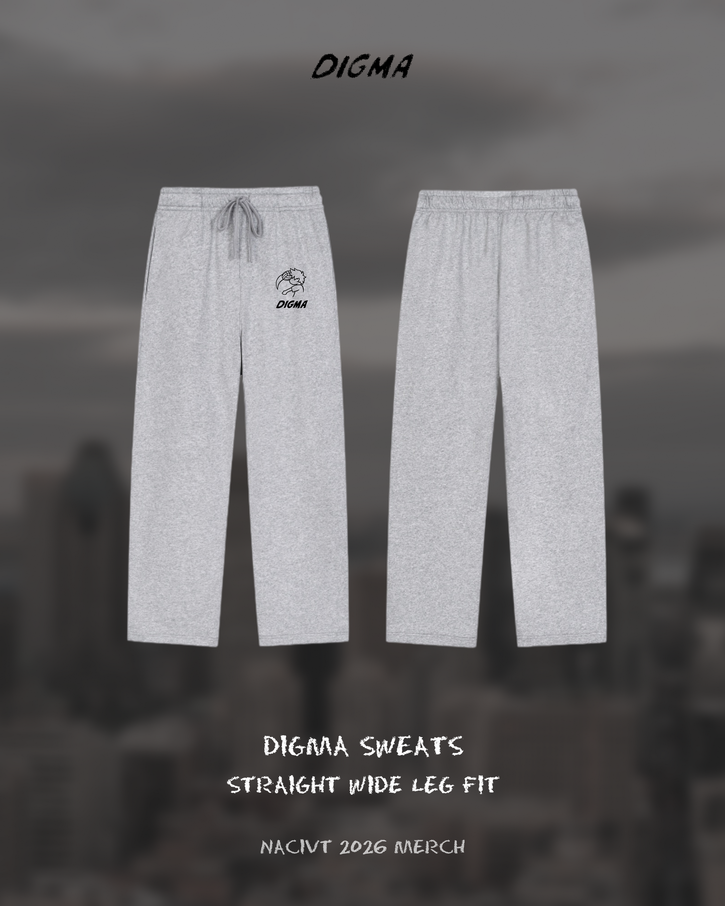 Solid Color Straight-Leg Sweatpants (Digma Guy)